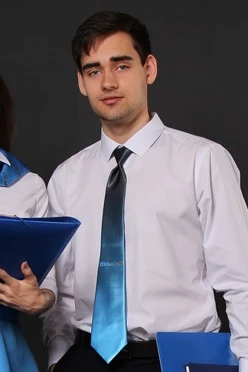 Купить галстук Райт мужской "IdeaBank"