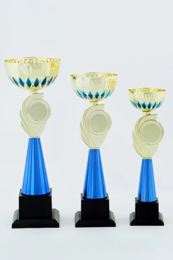 Кубок ИК0031#1