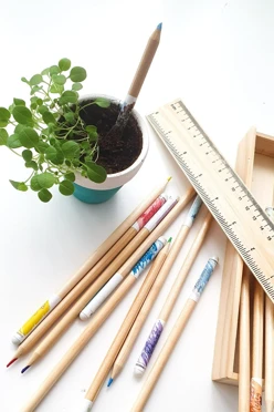 Набор растущих карандашей в пенале, 12 цветов#1