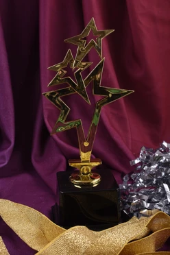 Приз Звезда 18036-G#1