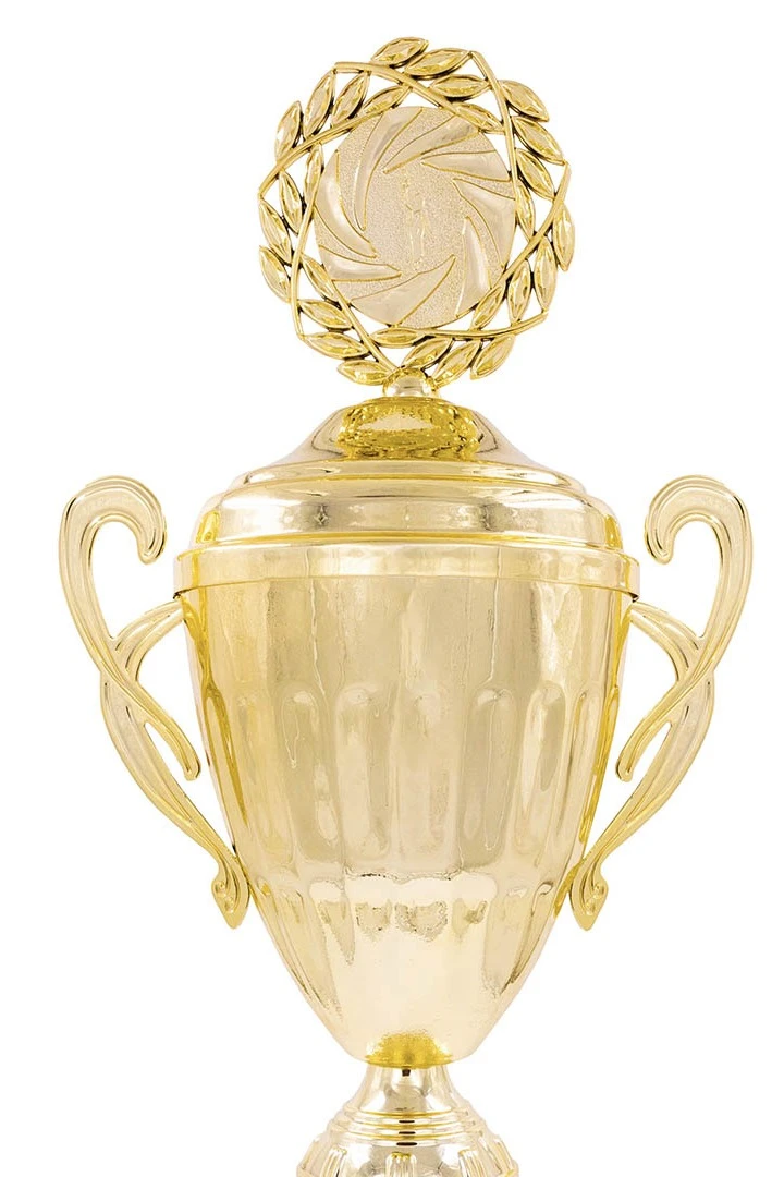 Кубок ИК0087 с крышкой#1