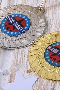 Медаль металлическая МК278 50мм с шильдом 25мм#2