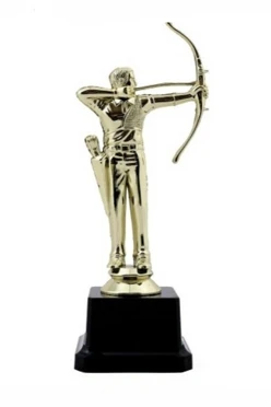 Купить приз  Стрельба из лука F992-G (15,7см)