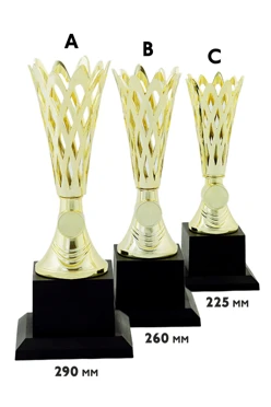 Купить кубок ИК0008