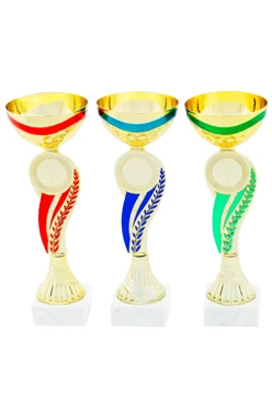 Кубок ИК0004#1