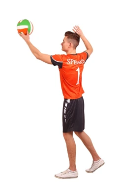 Купить мужскую волейбольную форму Хэнди "SPENSER 1"