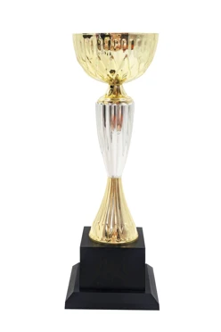 Кубок ИК0058#2