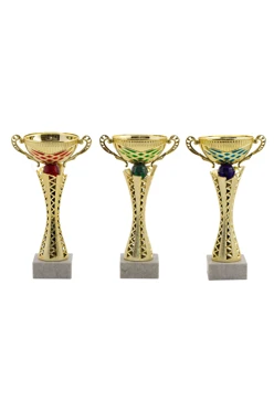 Кубок ИК0039#1