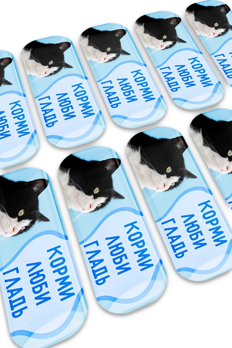 Купить наклейку заливную 2х5 см прямоугольник, с нанесением "Корми, люби, гладь"