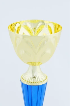 Кубок ИК0021#2