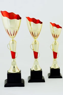 Кубок ИК0006#1