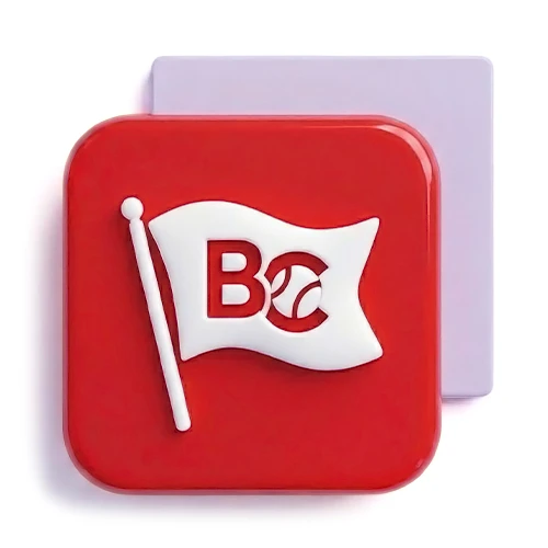 Флаги фирменные