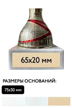 Шильд прямоугольный 65х20 мм#2