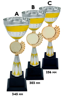 Купить кубок ИК0068