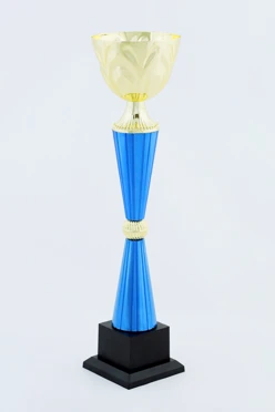 Кубок ИК0021#1