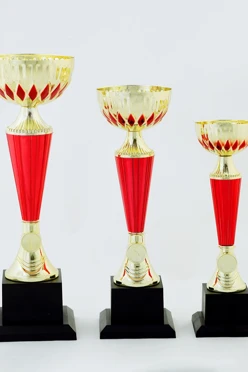 Кубок ИК0011#1