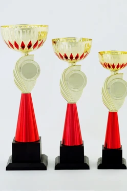 Кубок ИК0030#2