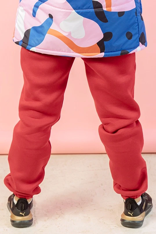 Брюки Хит из футера с начесом мужские, однотонные красные#2