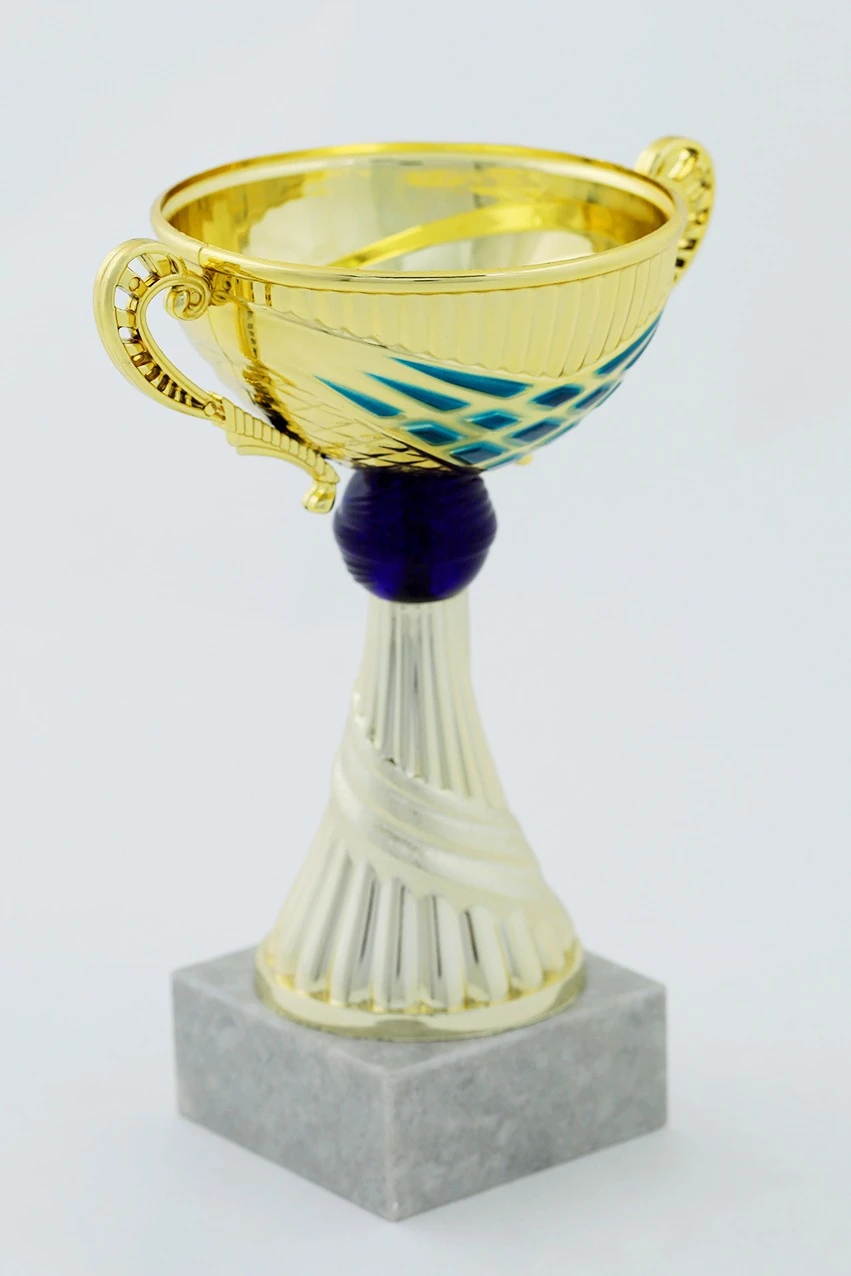 Кубок ИК0007#4