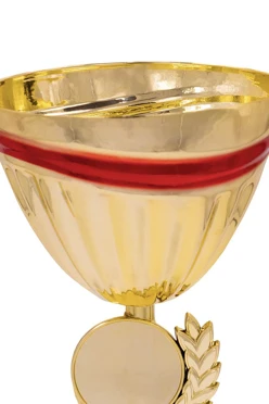 Кубок ИК0066#2