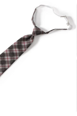 Купить галстук Райт мужской "Tartan"