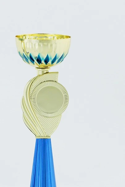 Кубок ИК0031#2