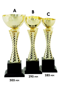 Купить кубок ИК0014