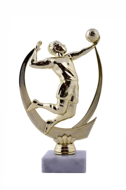 Приз Волейболист B190-G#1