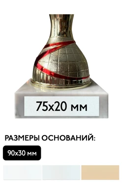 Шильд прямоугольный 75х20 мм#1