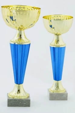 Кубок ИК0027#1