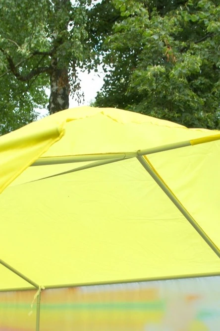 Тент с полной запечаткой (с козырьком) 2х3 м "School Fair"#7