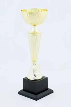 Кубок ИК0013#2