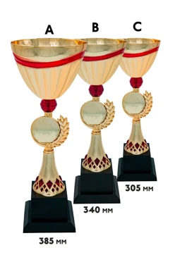 Купить кубок ИК0063