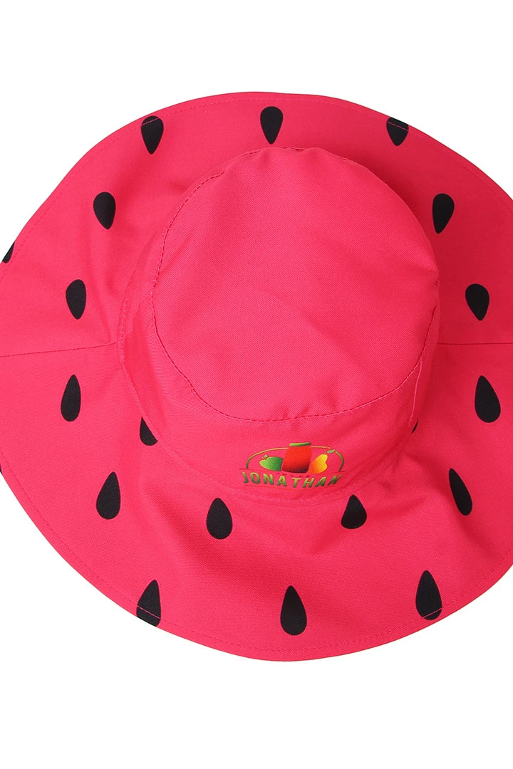 Панама Эквадор с широкими полями, с полной запечаткой "Jonathan"#8