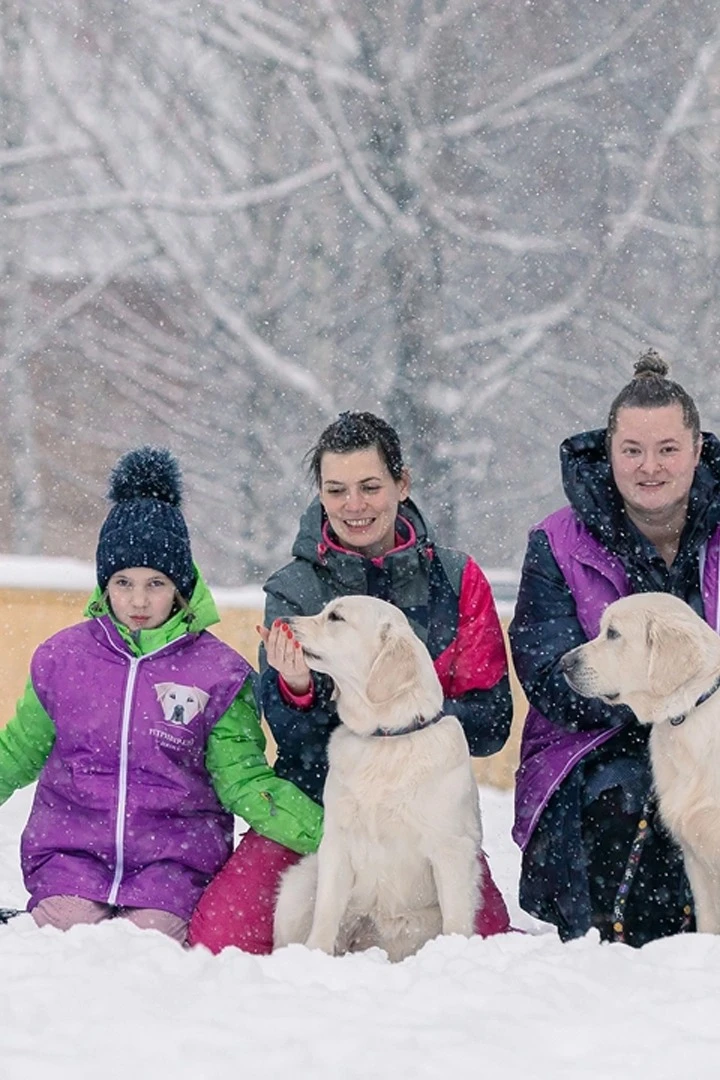 Купить жилет Портер с полной запечаткой "Rottweiler" Купить жилет Портер с полной запечаткой "Rottweiler"