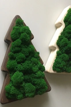 Ёлка 20х30 см со стабилизированным мхом#1