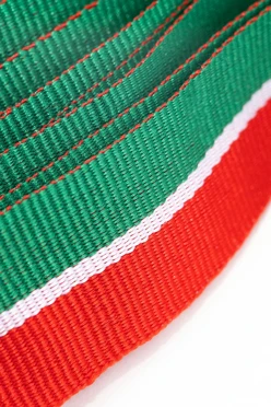 Лента для медали Татарстан репс ширина 2,2 см, с карабином#2