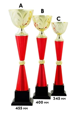 Купить кубок ИК0020