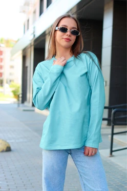 Купить лонгслив Фрэнсис унисекс однотонный (хлопок) голубой