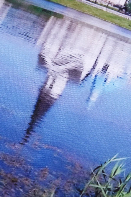 Свитшот Гарри унисекс из адидаса с полной запечаткой "Attractions"#1 Свитшот Гарри унисекс из адидаса с полной запечаткой "Attractions"#1