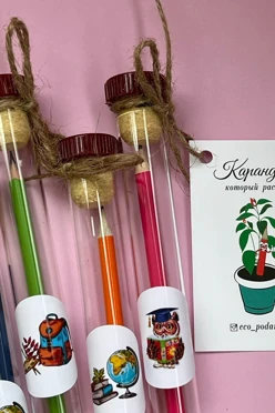 Карандаш в колбе (из наших карандашей можно вырастить цветы ,овощи, пряные травы и даже деревья)#2