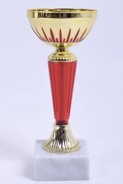 Кубок КМ2362#1