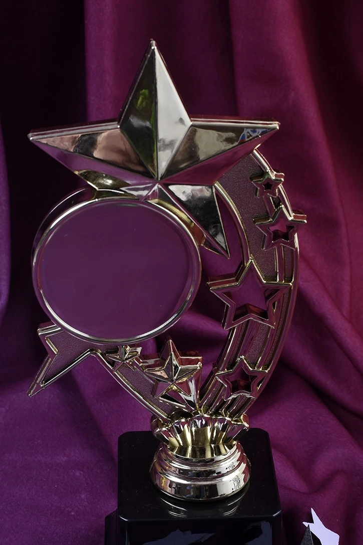 Приз Звезда В208#1