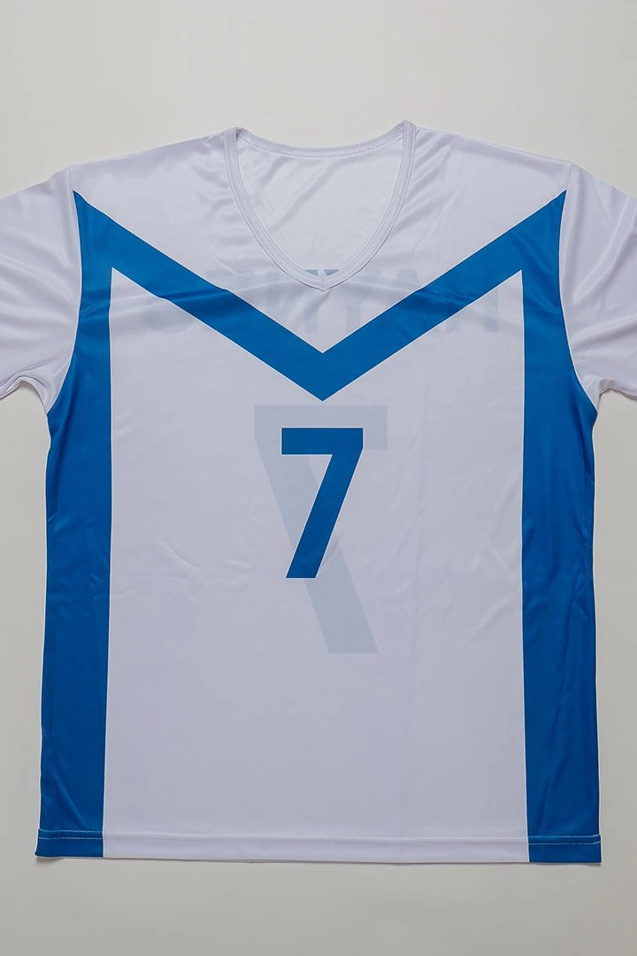 Купить волейбольную форму Хэнди мужская с полной запечаткой "Haynes"