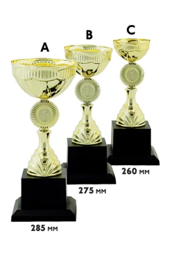 Купить кубок ИК0025