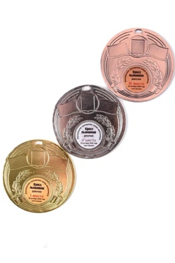 Медаль металлическая МК203 70мм с шильдом 25мм#1