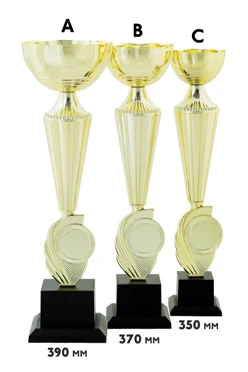 Купить кубок ИК0029