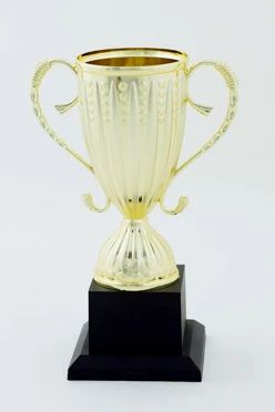 Кубок ИК0002#2