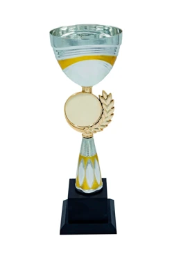 Кубок ИК0068#1