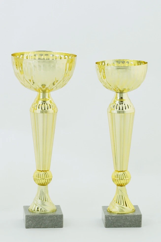 Кубок ИК0019#1